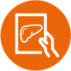 Hand icon holding an image of a liver scan, Liver Imaging, STARLIGHT Study, alcohol-related liver disease, ALD.